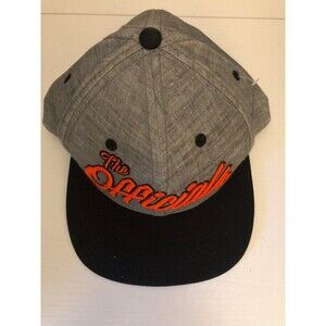 The Officials Baseball Cap/Hat New without Tags Snapback Gray